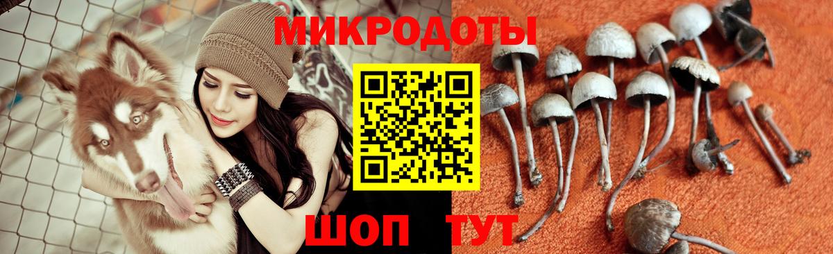 Алушта  Псилоцибиновые грибы прущие грибы  Вход с VPN  как найти наркотики  Галлюциногенные грибы Psilocybine cubensis 