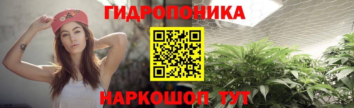Канабис Bruce Banner  Вход с VPN  Конопля индика  Бошки марихуана Bruce Banner  МАРИХУАНА ГИДРОПОН  Алушта 